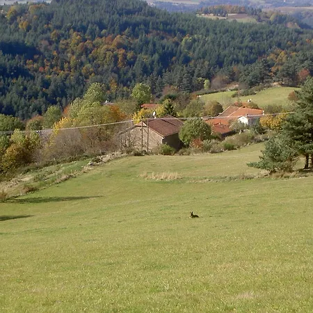 Vakantiehuis Des Gorges De La Loire