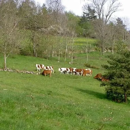 Des Gorges De La Loire Vielprat